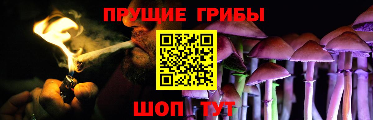 Псилоцибиновые грибы MAGIC MUSHROOMS Знаменск